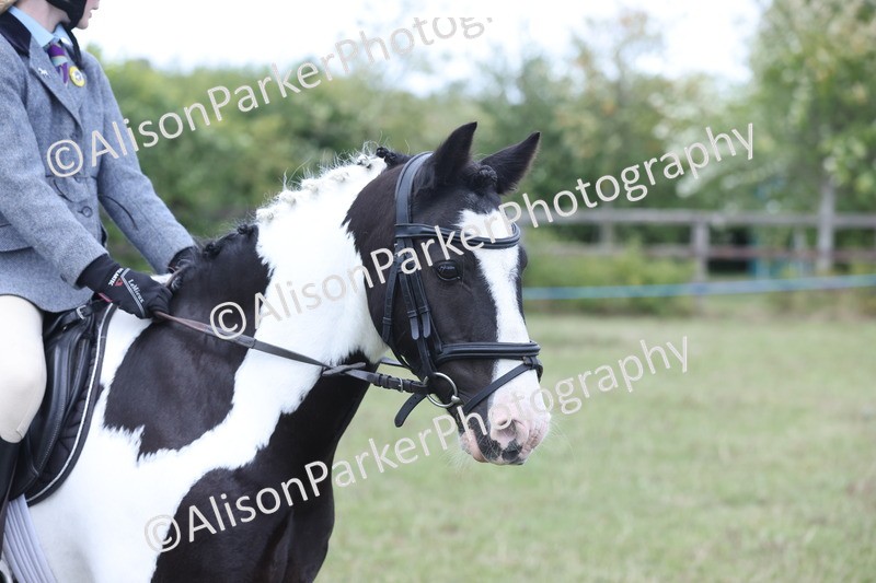 20250831-4436 - Championship