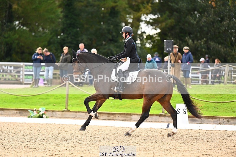 231021-134623-17716 - 350-DAZZLING.SPRINGTIME-Alice.Kneen-DR