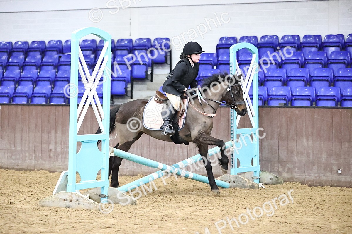 SBM_000252 - class 1 - 40cm