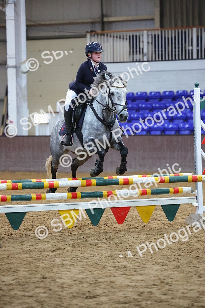 SBM_002125 - Class 5 - Show Jumping 80cm