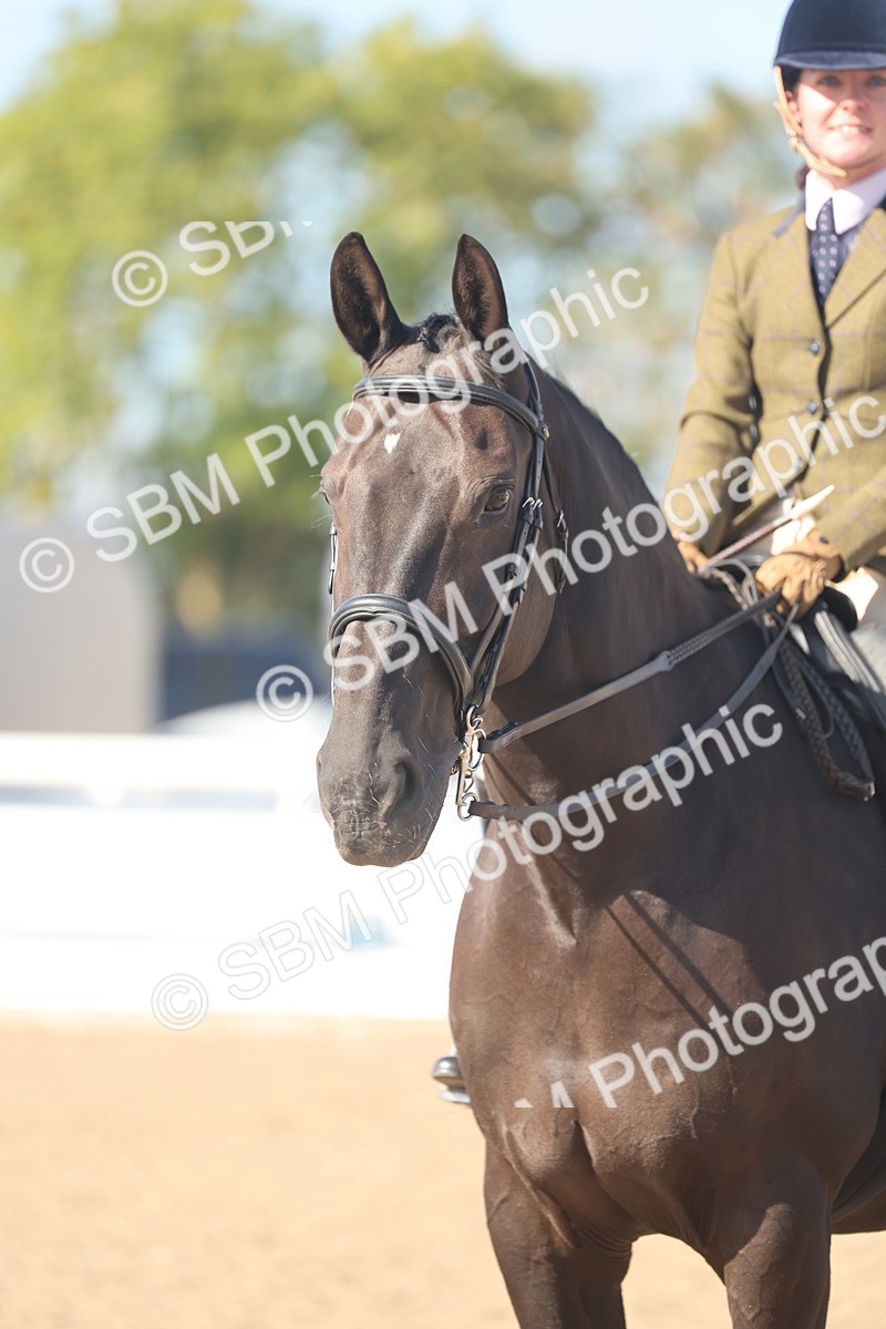 SBM_22679 - Class 805 - Ridden Veteran Horse