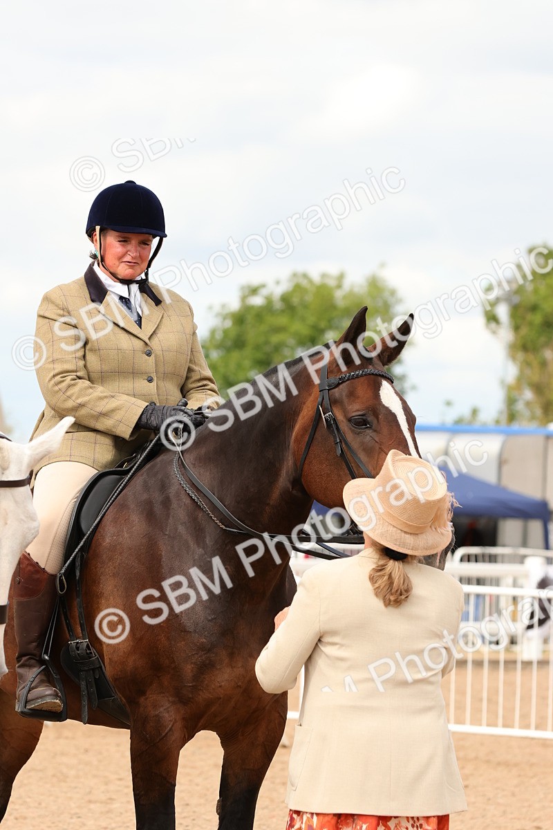 SBM_15571 - Class 214 - Ridden Show Cob