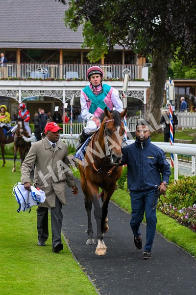 150624-Race 3-Klondike-7192 - Race 3 3.00pm Sky Bet Race To The Ebor Grand Cup Stakes