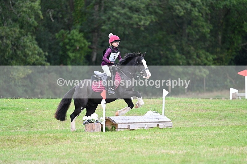 WJ7_7325 - 40cm Time 10:06 to 10:24