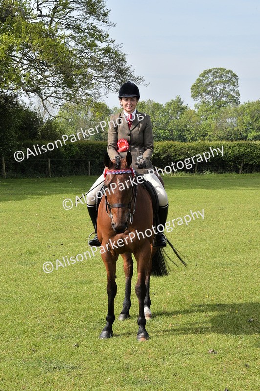 20260426-0943 - Class 18 - Novice Showing
