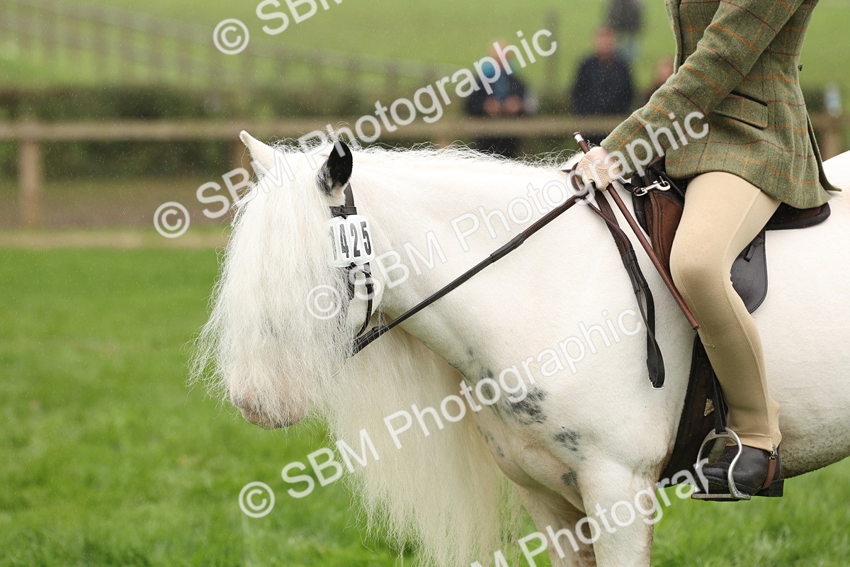 SBM_72785 - S70 - Traditional Cob Ridden