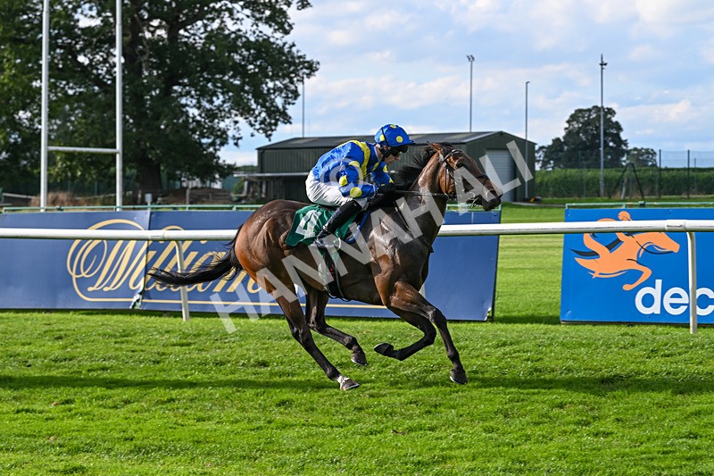 140926-Race 5-Mo Anam Chara-7530 - Race 5 4.21pm decronhorsecare.co.uk Handicap