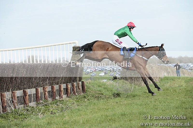 PtP 230319 366 - VWH Hunt Siddington Point-to-Point Racing 23/03/19