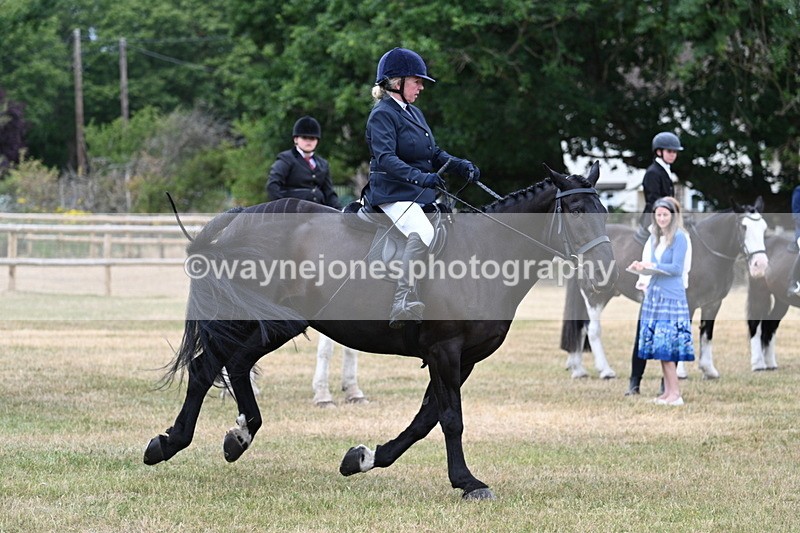WJ7_1149 - Class 3 Family Mount
