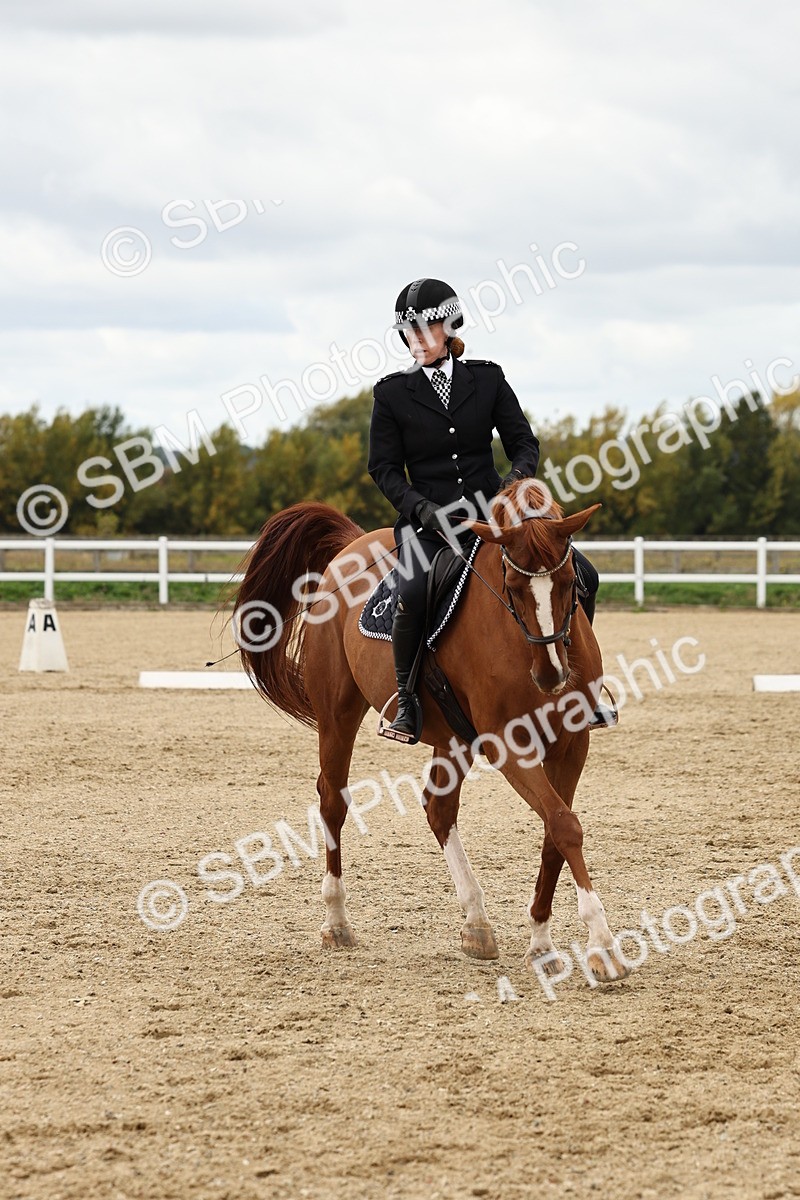 SBM_004567 - Class 69 - Novice 2