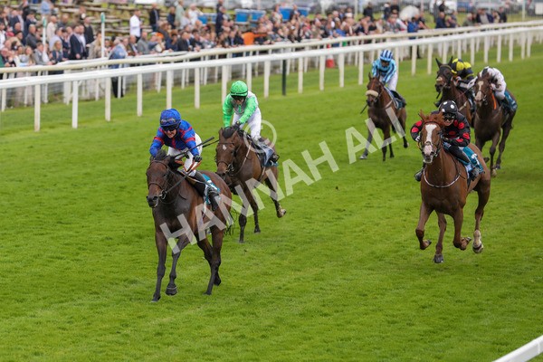 150624-Race 1-Lord Melbourne-6062 - Race 1 1.50pm Queen Mother's Cup Handicap