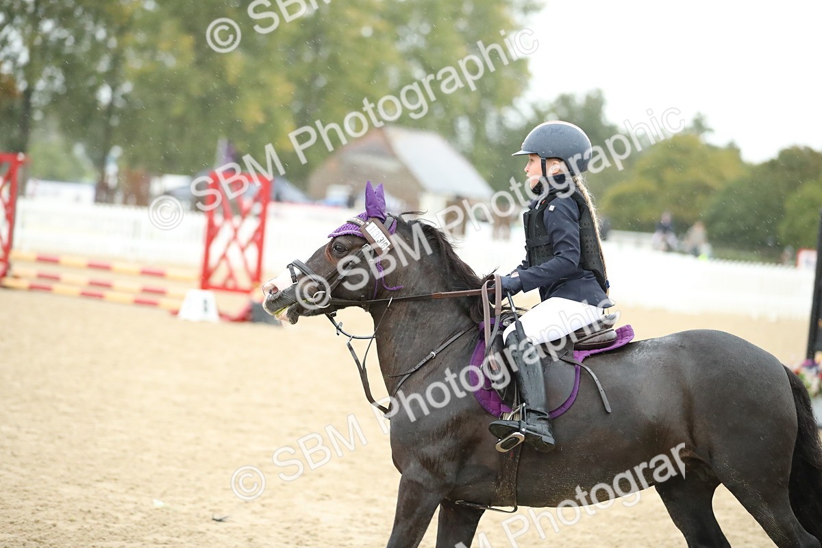 SBM_34342 - J60 Clear Round 50cm