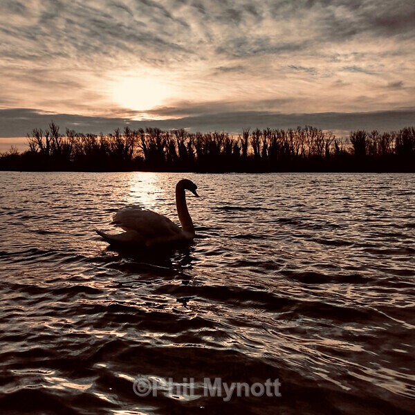 PhotoMynottART066 - Photo Mynott ART Images