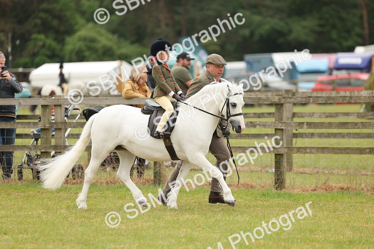 SBM_06679 - Class 74-75 - M&M Lead Rein and First Ridden Pony
