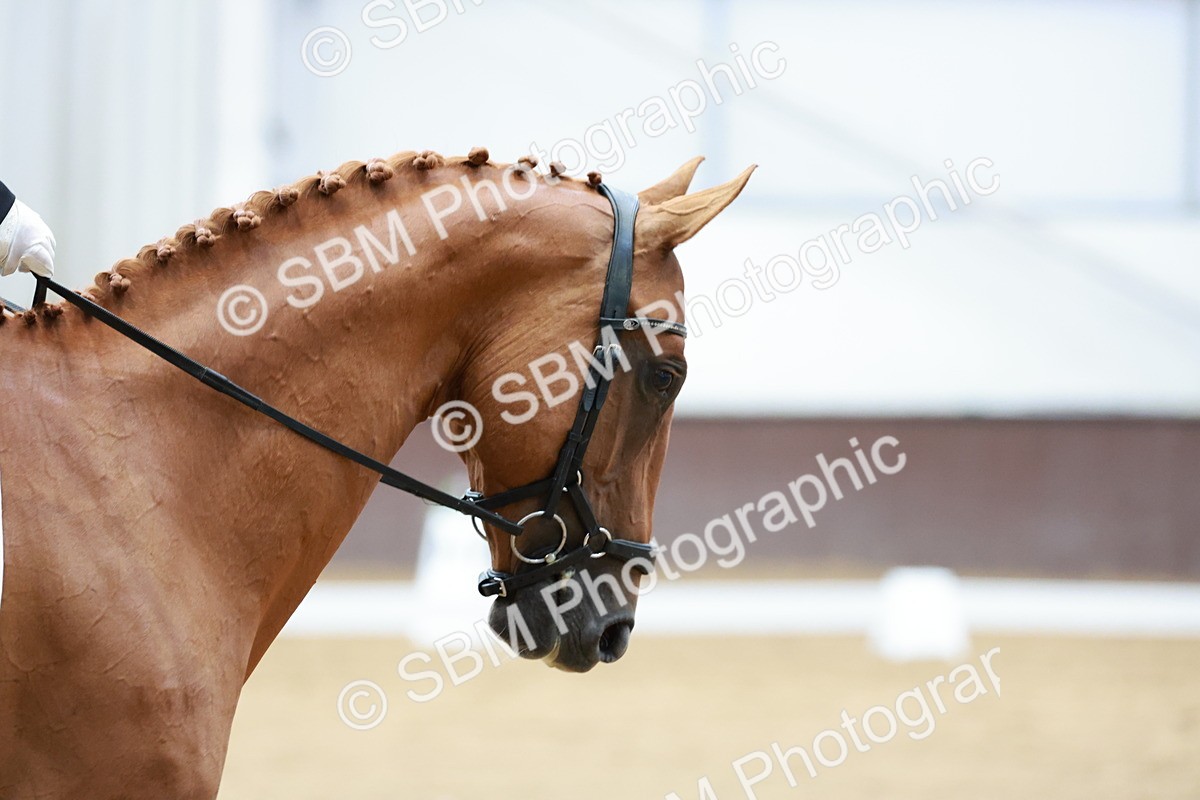 SBM_003367 - Class 4 - Prelim 3