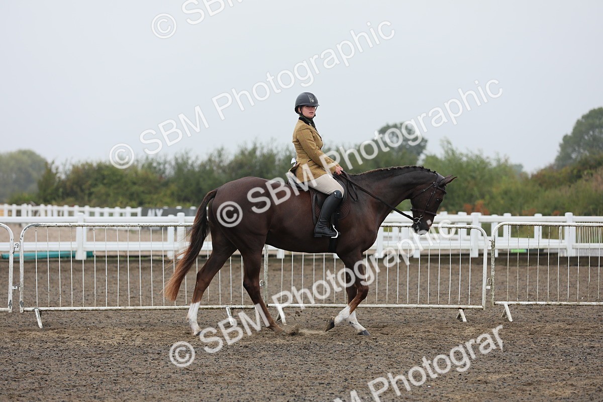 SBM_21217 - Class 805 - Ridden Veteran Horse