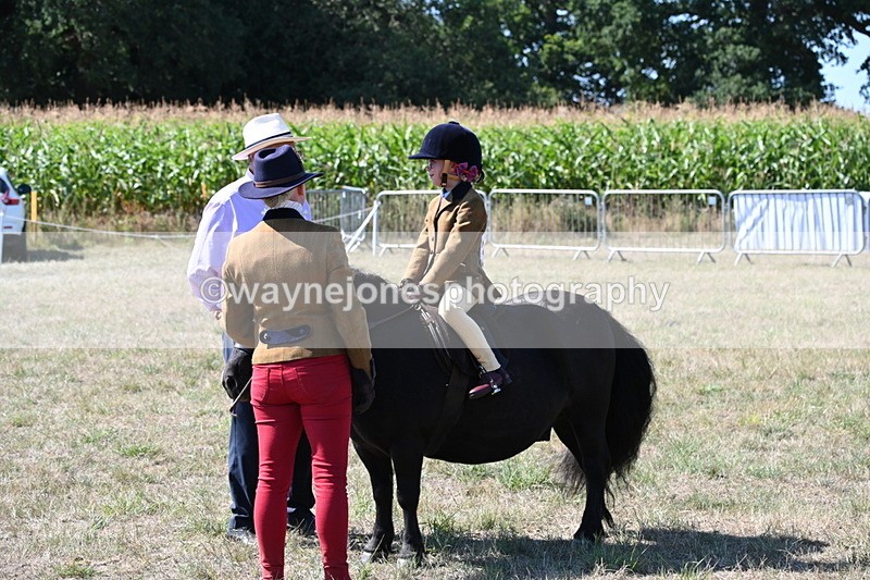WJ6_8072 - Class 36 Lead Rein