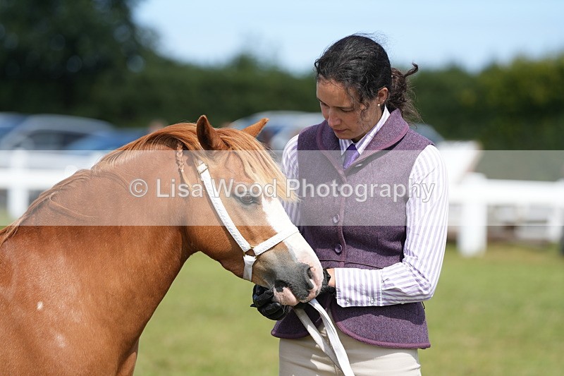 DSC05607 - Class 50: NPS M&M 4 years and over Small Breeds