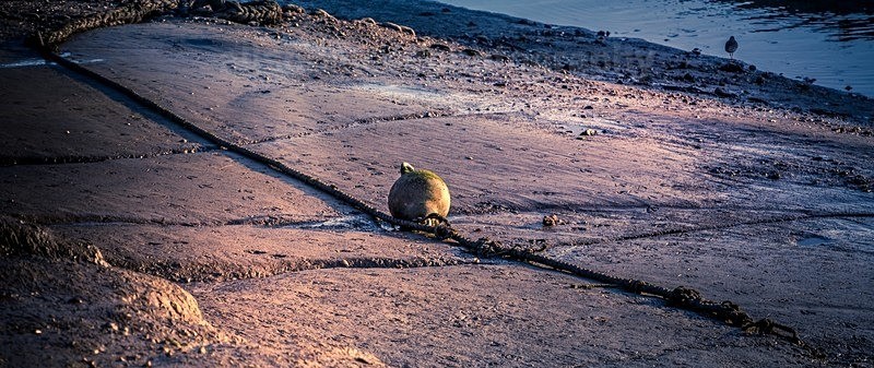  - Landscapes & Seascapes