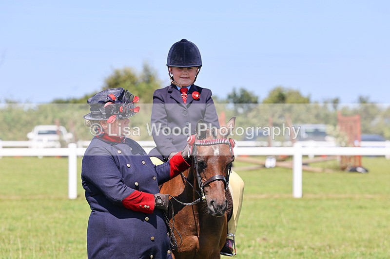IMG_2188 - Class 36: Part Bred Ridden M & M