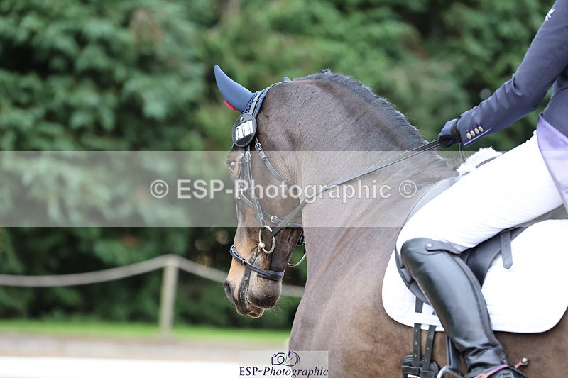 241024-092001-01258 - 204-Megan.Brown-METROPOLITAN.CLOVER