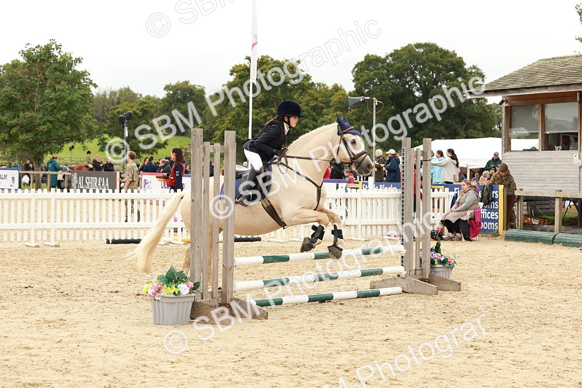 SBM_62029 - J12 - Junior Pony 55cm Championship