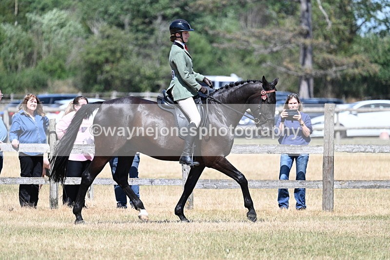 WJ7_3593 - Class 8 Ridden Veterans