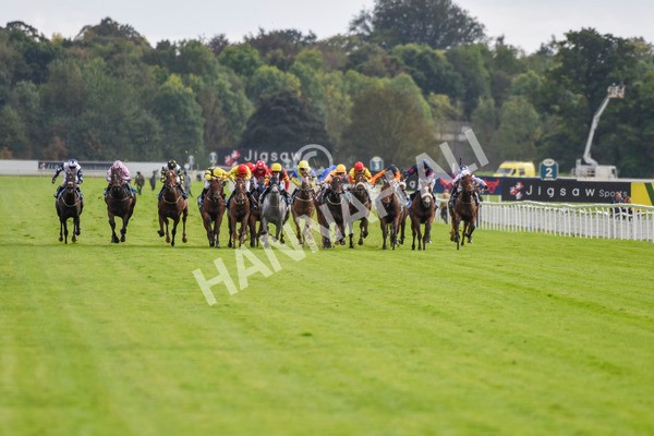 230923-Race 4-Aphelios-5677 - Race 4 3.45pm Jigsaw Sports Branding Handicap