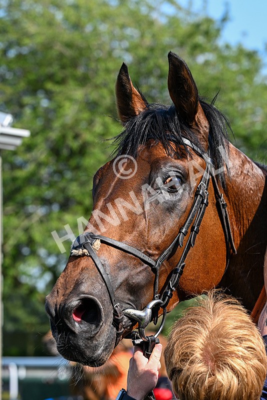 230626-Race 6-Sahm Naif-1900 - Race 6 16.52pm Racing TV Extra On racingtv.com Handicap
