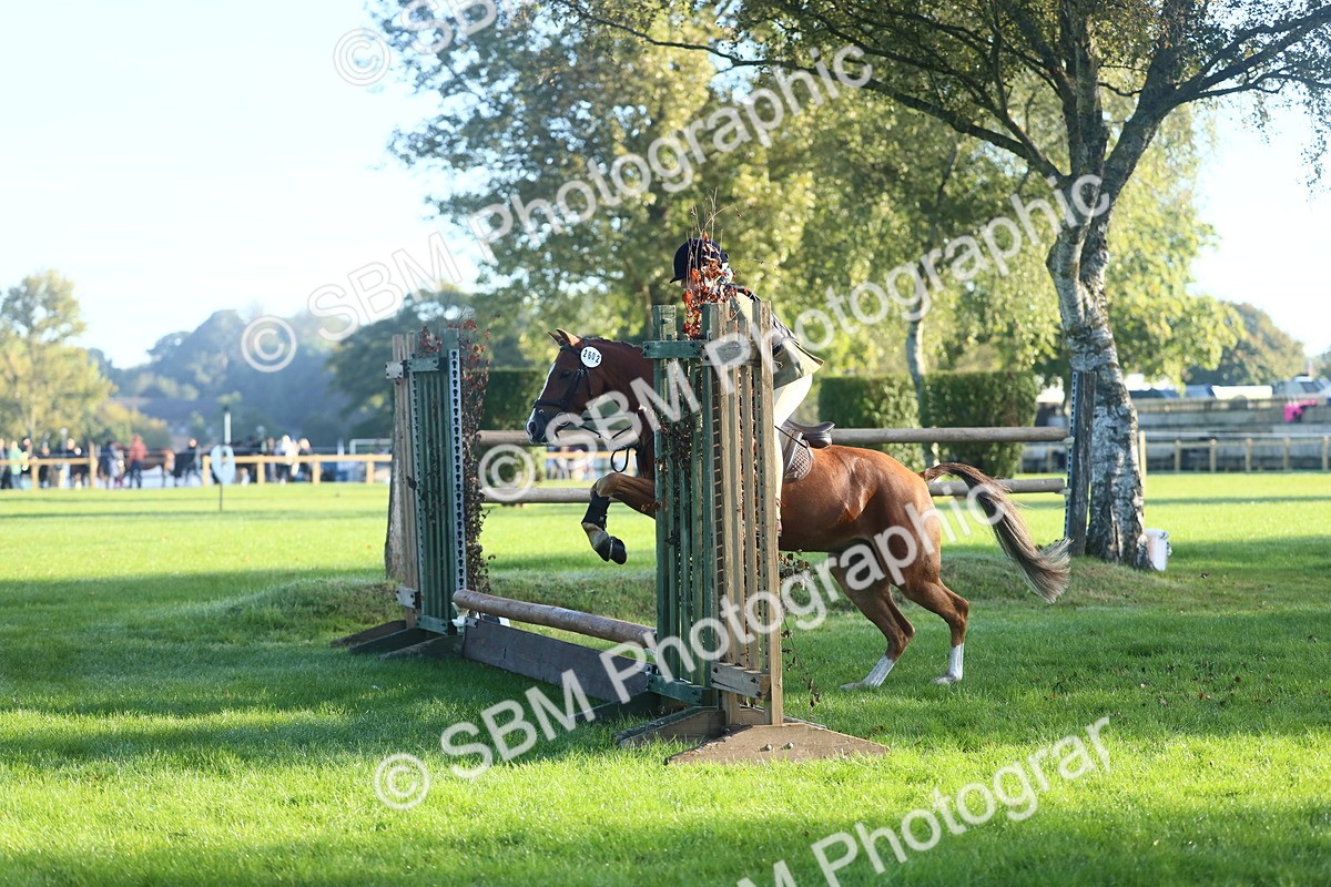 SBM_33391 - S28 - Nursery Stakes Working Hunter Pony