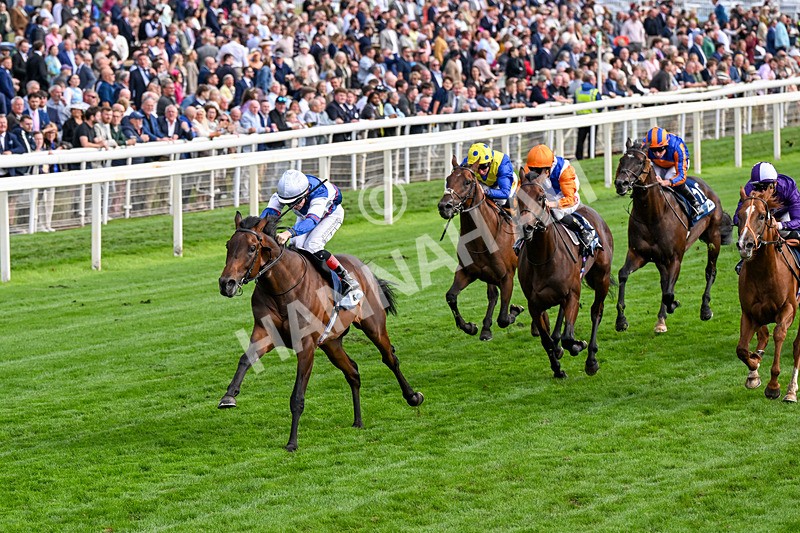 210826-Race 6-Benjamin Hornigold-0367 - Race 6 16.45pm British Stallion Studs EBF Convivial Maiden Stakes