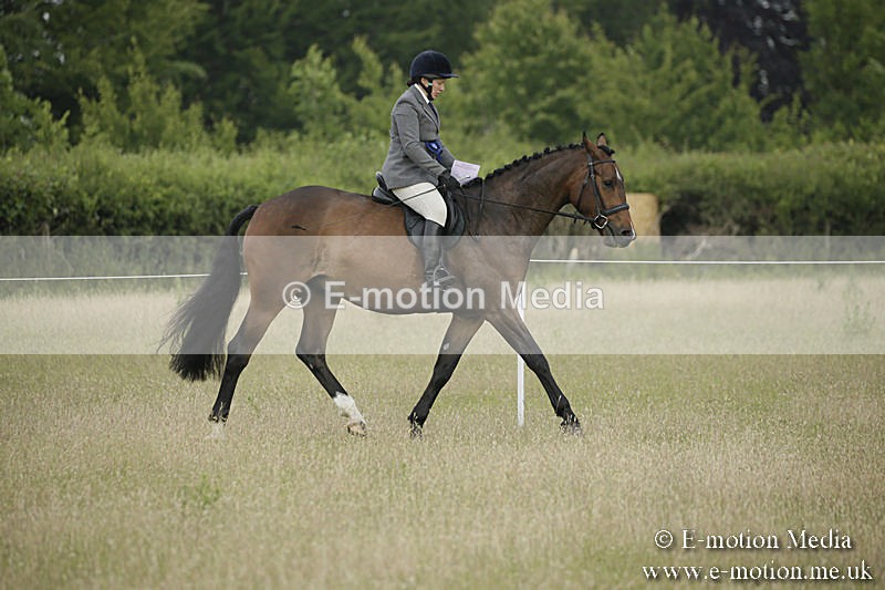 B230619-0202 - Bourne Valley Riding Club Summer Show 23/06/19