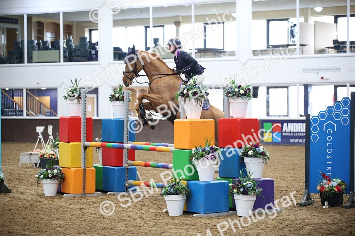 5K7A3706 - Class 2 - Nupafeed Supplements Senior Discovery/ 1m Open