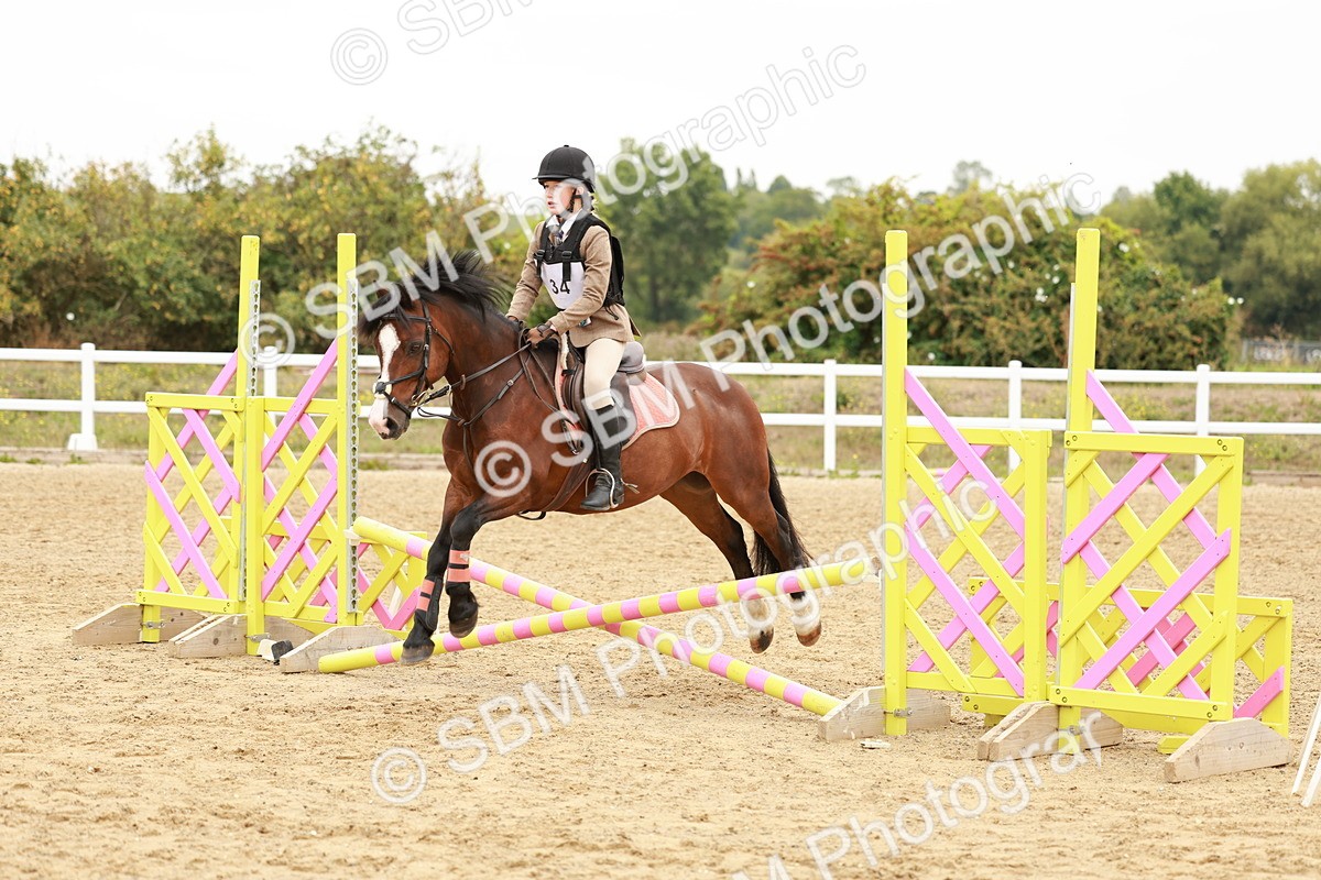 SBM_007294 - Class 2 - 50cm