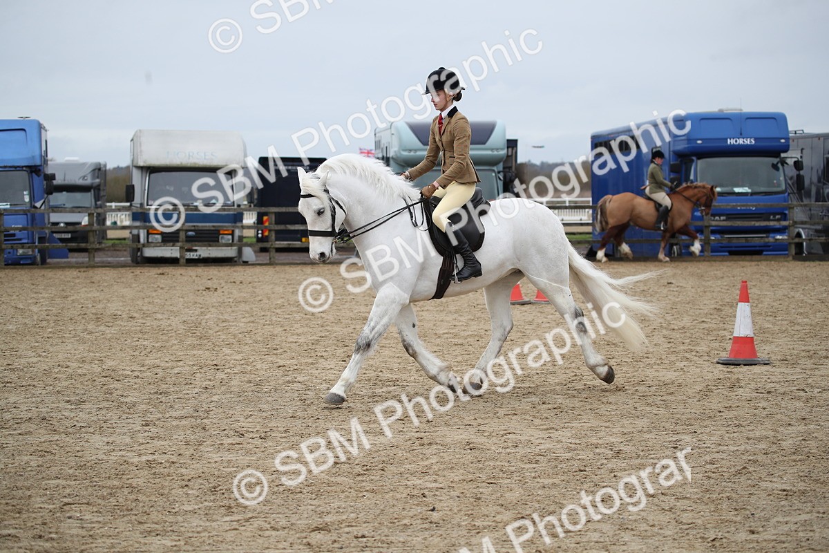 SBM_006130 - Class 10-13 - RIHS Small Large Breeds