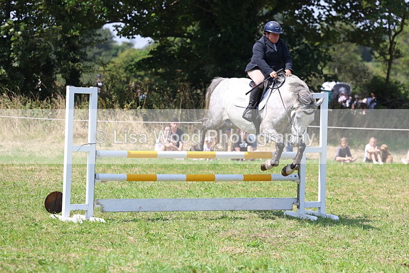 3E7A2920 - Class 7: Senior British Novice/90cm open