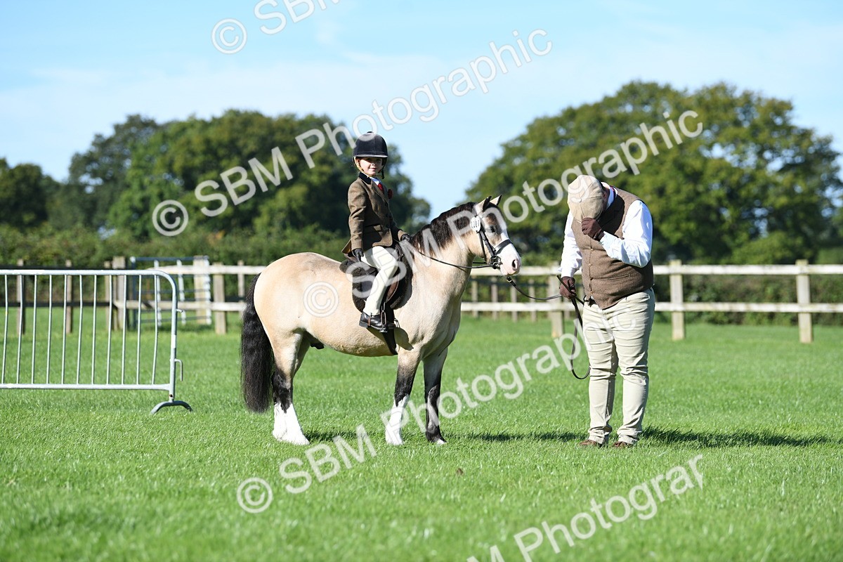 SBM_36762 - S18 - Novice & Newcomers Lead Rein Pony