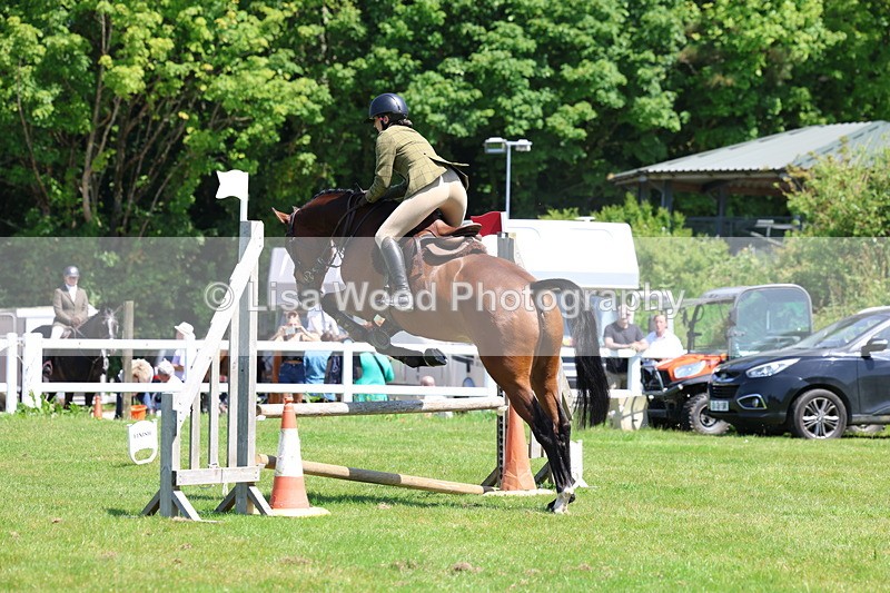 3E7A7095 - Class 30: Novice Working Hunter