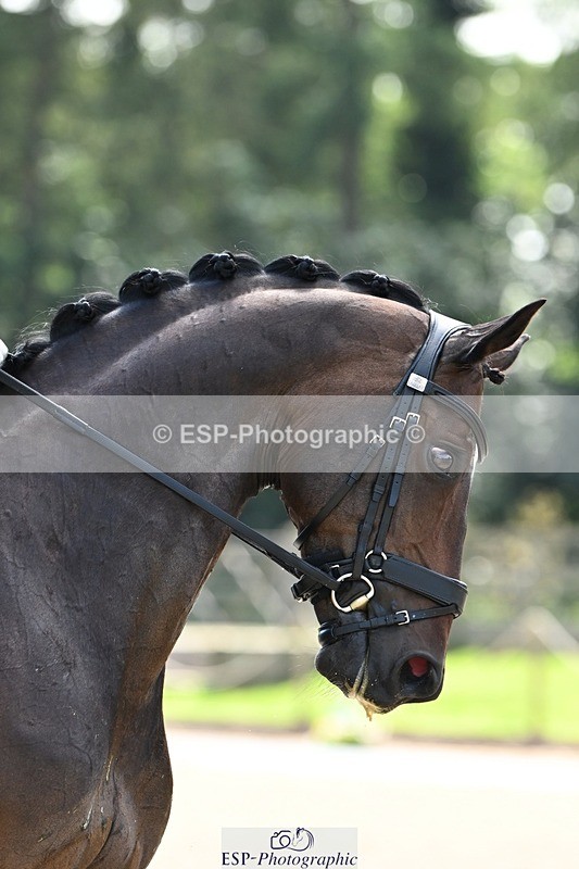 240811-143709-06527 - 221-Mark.Forrest-Fidel.Von.Singing