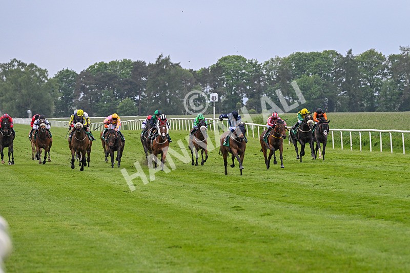 160526-Rcae 8-Run This Way-0170 - Race 8 5.57pm Sky Bet Build A Bet Handicap