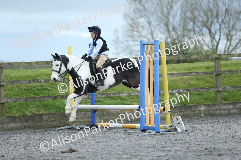 20260412-1833 - Show Jumping