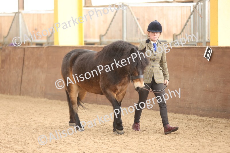 20251109-0580 - Class 22 - Geldings 4 Years and over