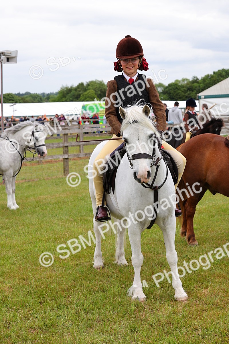 SBM_08839 - Class 42-43 - LIHS BSPS Heritage Working Sports Pony