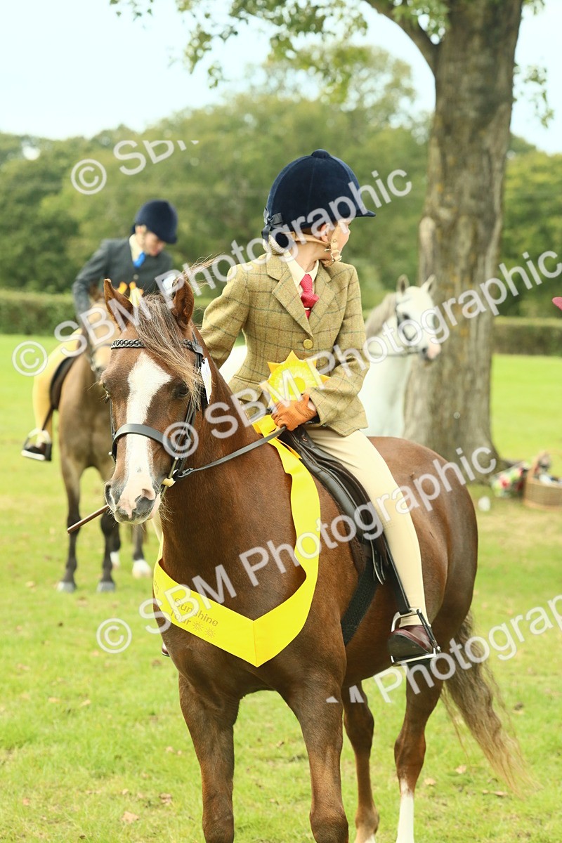 SBM_70041 - S59 - Mountain & Moorland Ridden Small Breeds