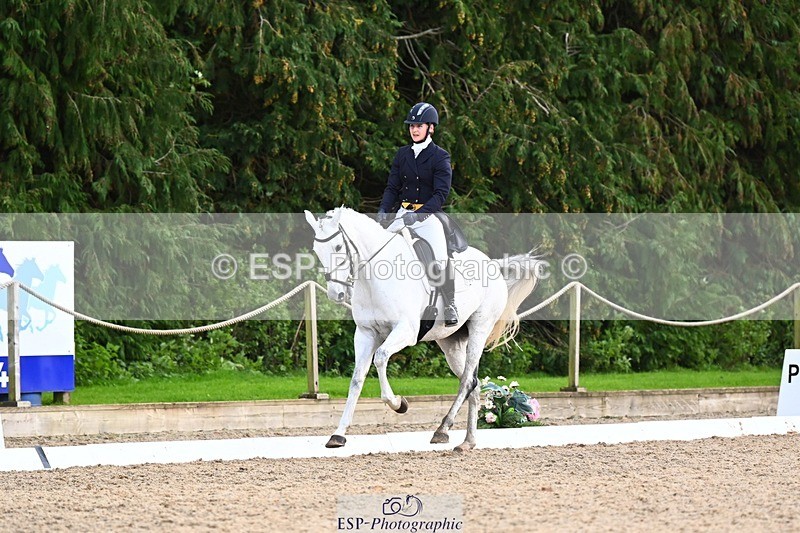 231021-160019-20989 - 262-GOOD.BOY.ALEX-Tara.Jefferies-DR