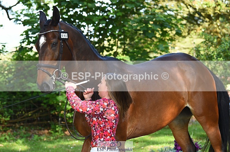 230524-164004-01012 - 110-SAM-Zoe_Boyles-WEDTrotUp+DR