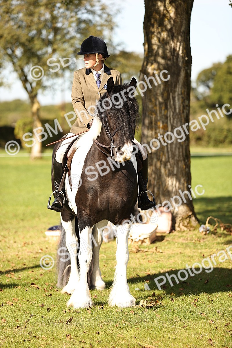 SBM_17006 - S2 - TSR Ridden Pony Showing