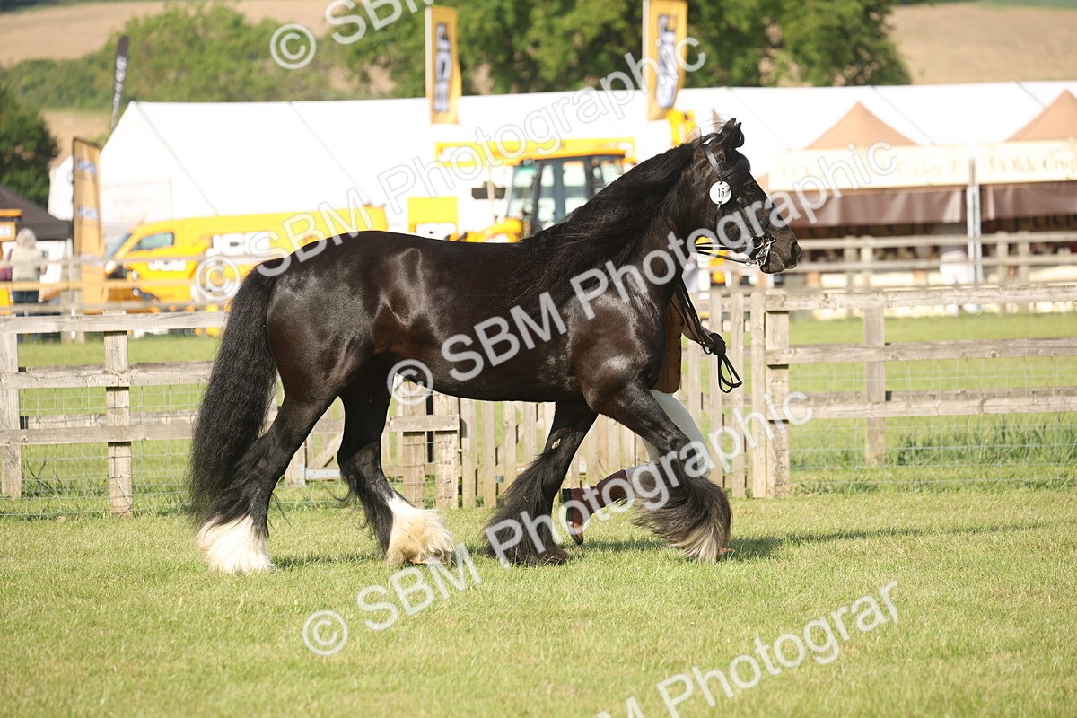 SBM_10373 - Class 33-38 - SSADL RIHS Qualifiers