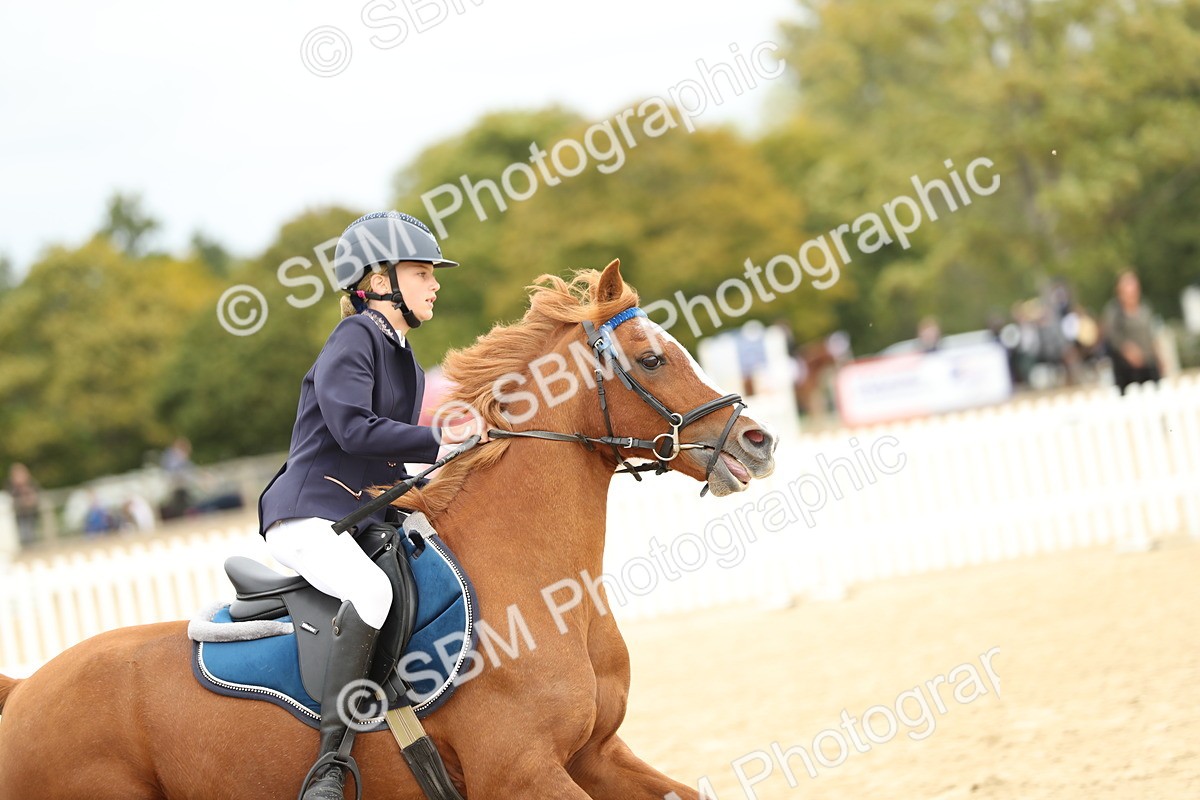 SBM_65685 - J48 - Pairs Jumping Open 70cm & 85cm