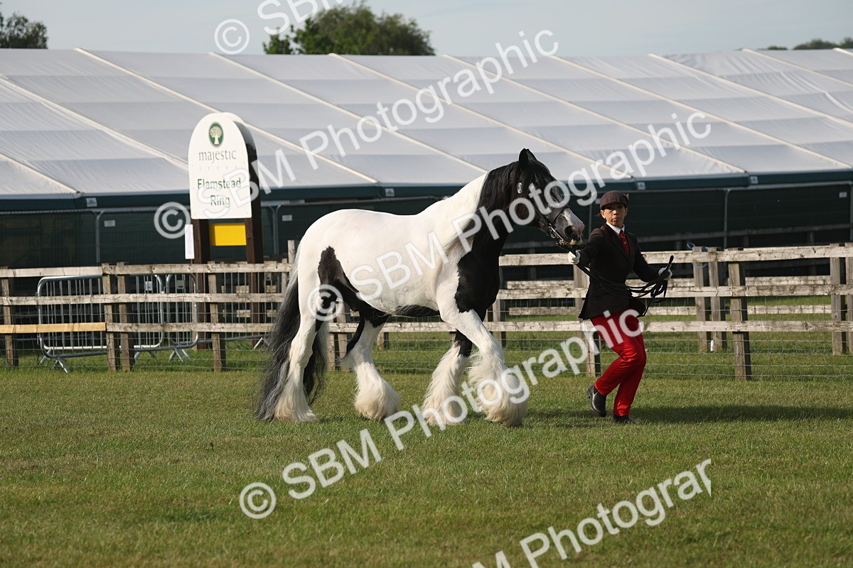 SBM_10539 - Class 33-38 - SSADL RIHS Qualifiers